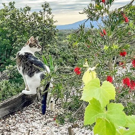 Mas La Marchette * Oms